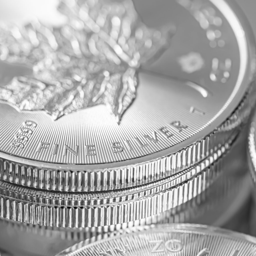 Sollte man in Silber Investieren?